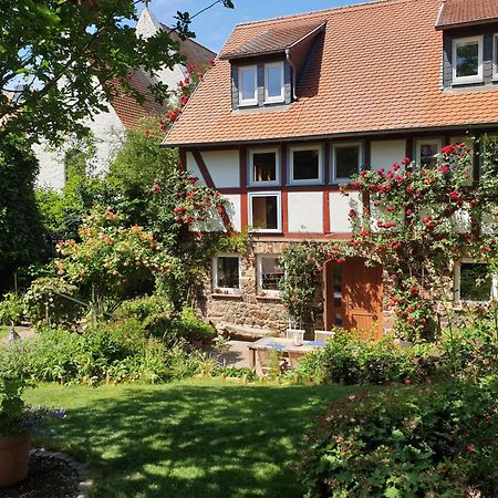 Ferienhaus Burgblick ミュンツェンベルク エクステリア 写真