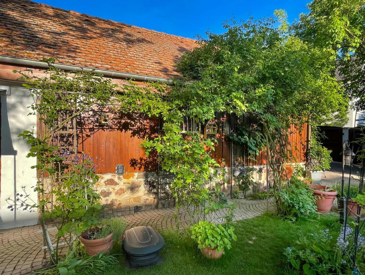 Ferienhaus Burgblick ミュンツェンベルク エクステリア 写真