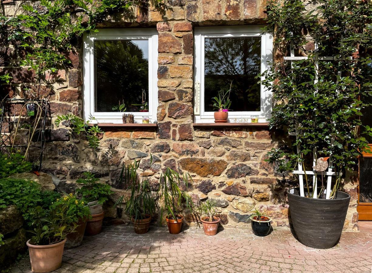 Ferienhaus Burgblick ミュンツェンベルク エクステリア 写真